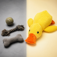 Canard anti-stress