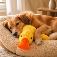 Canard anti-stress