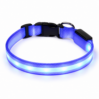 Collier lumineux