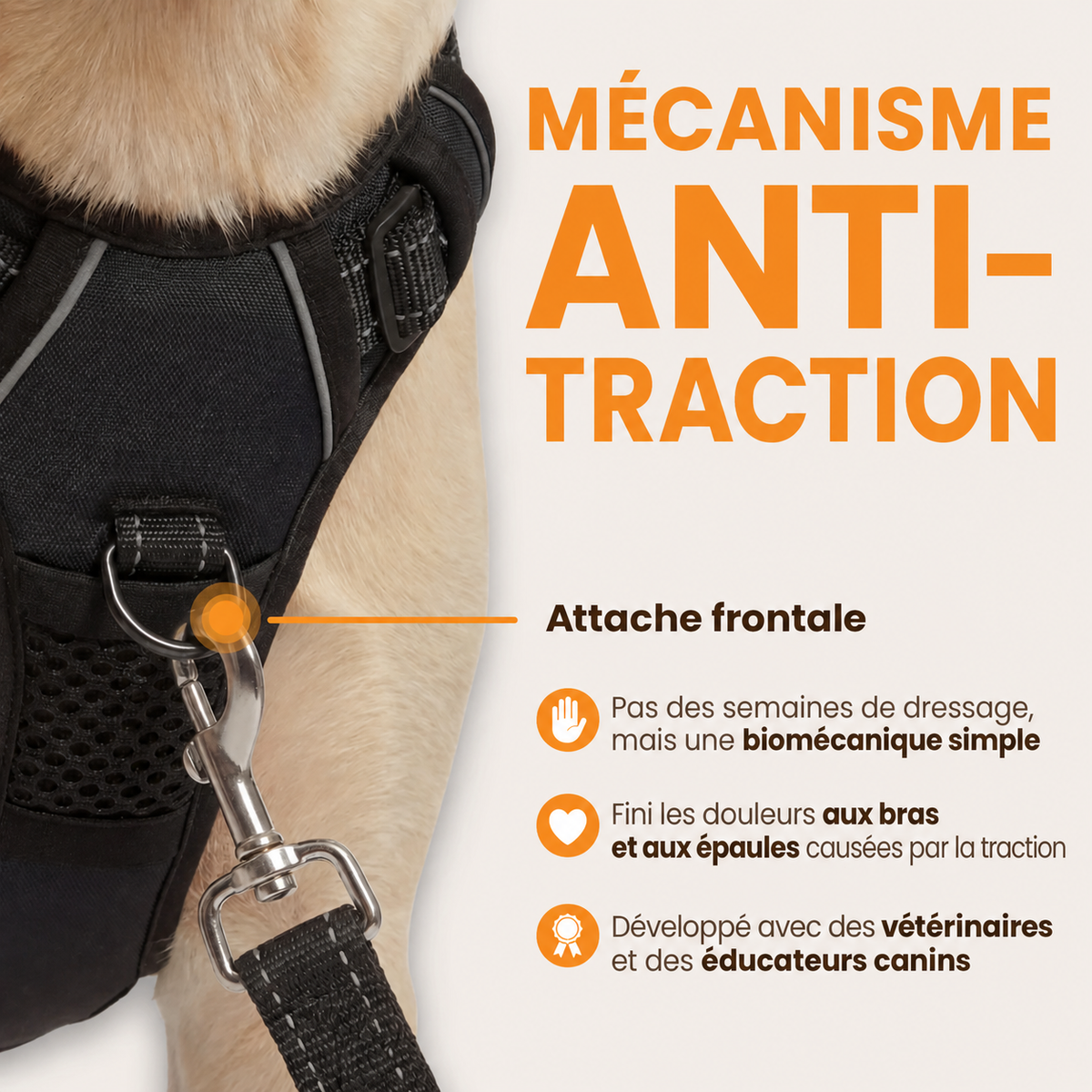 Harnais Anti Traction