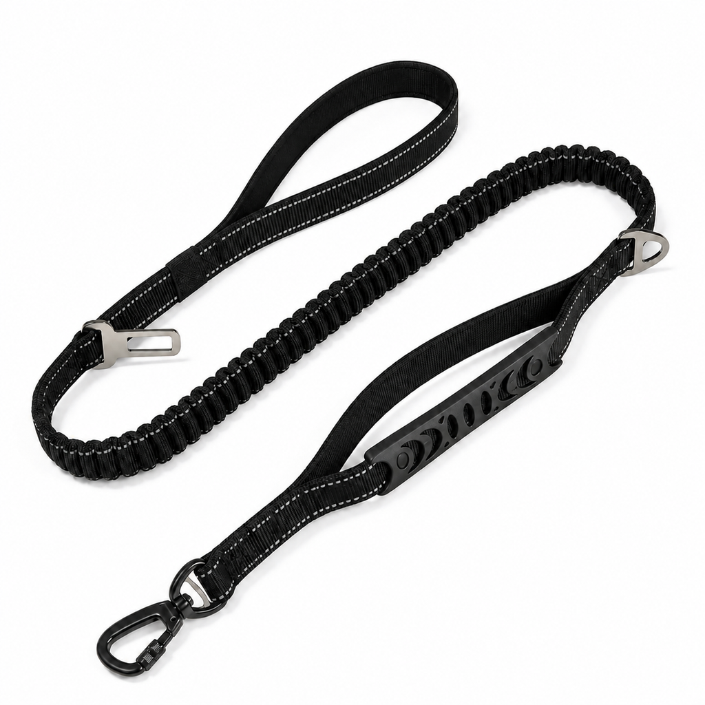 Laisse élastique pour chien