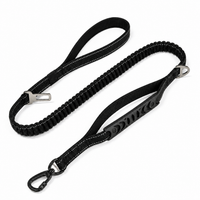 Laisse élastique pour chien