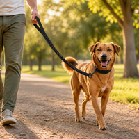 Laisse élastique pour chien