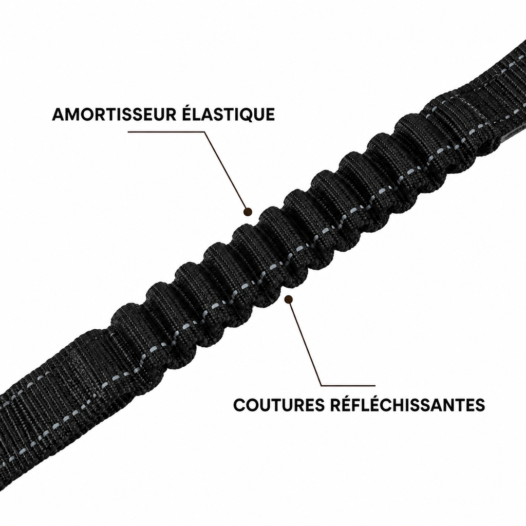 Laisse élastique pour chien
