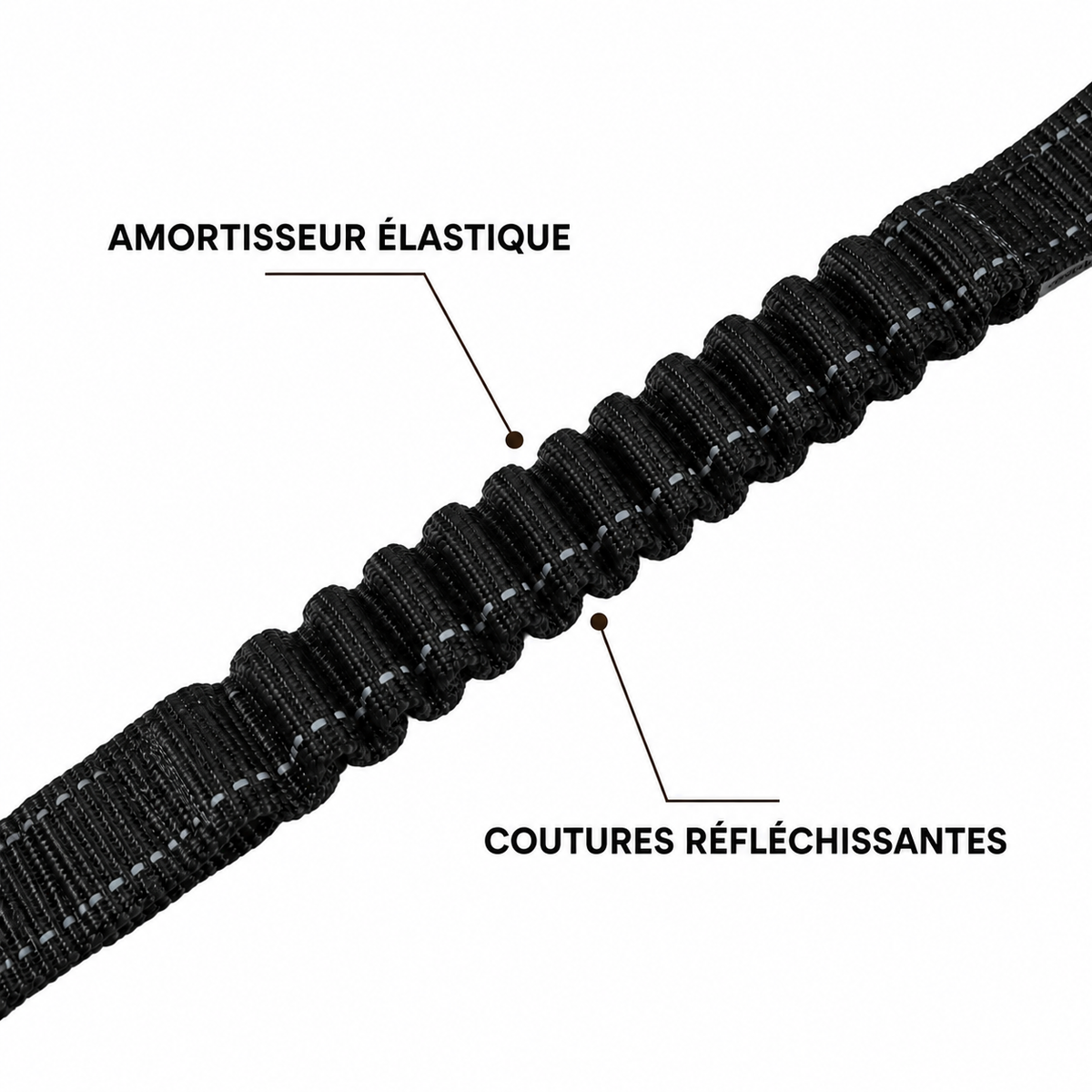 Laisse élastique pour chien