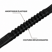 Laisse élastique pour chien