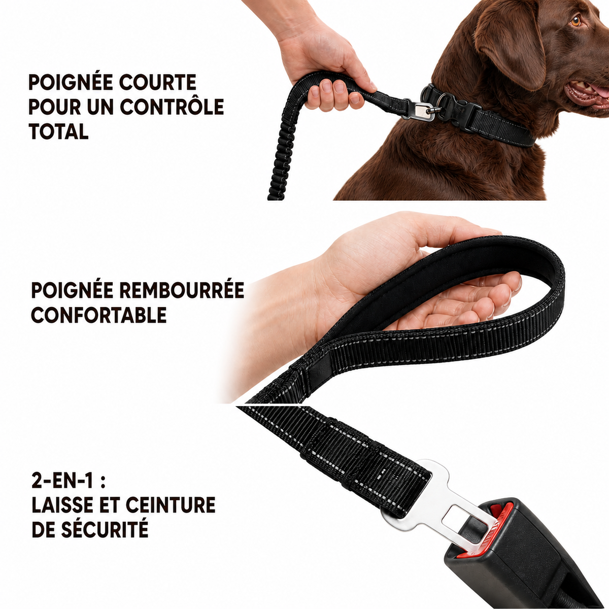 Laisse élastique pour chien